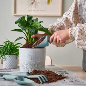 Garden Accessories in UK
