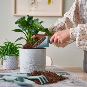 Buy Premium Garden Accessories in UK