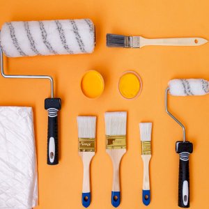 Shop Premium Paint Brushes & Rollers
